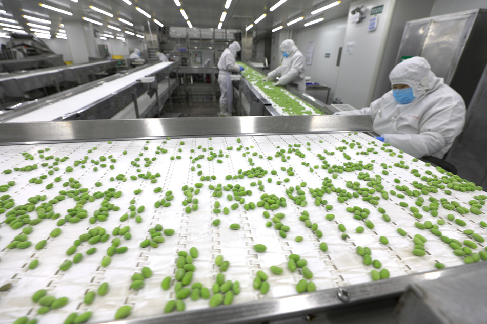 西秀區凈菜工廠 延伸蔬菜產業鏈，提升農產品附加值